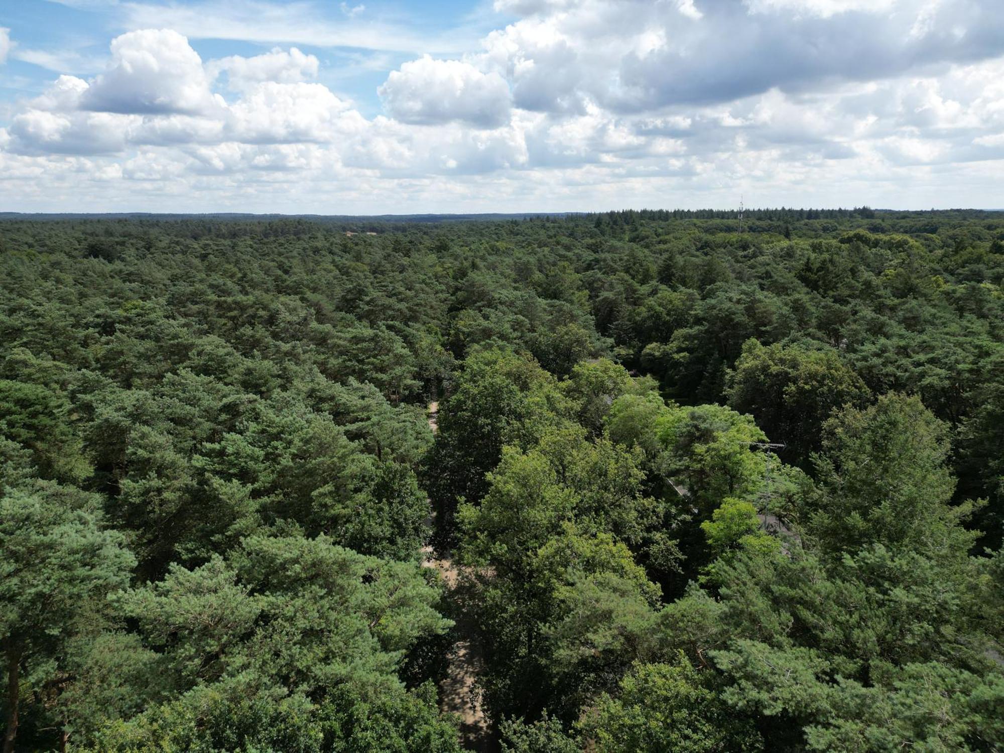 Modern Natuurhuisje Midden In Het Bos Op De Veluwe Otterlo Exterior photo