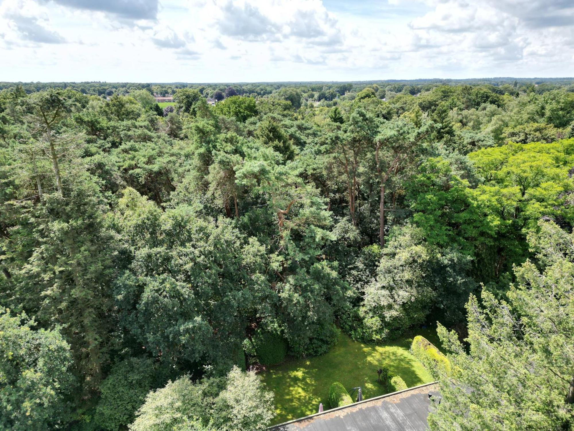 Modern Natuurhuisje Midden In Het Bos Op De Veluwe Otterlo Exterior photo