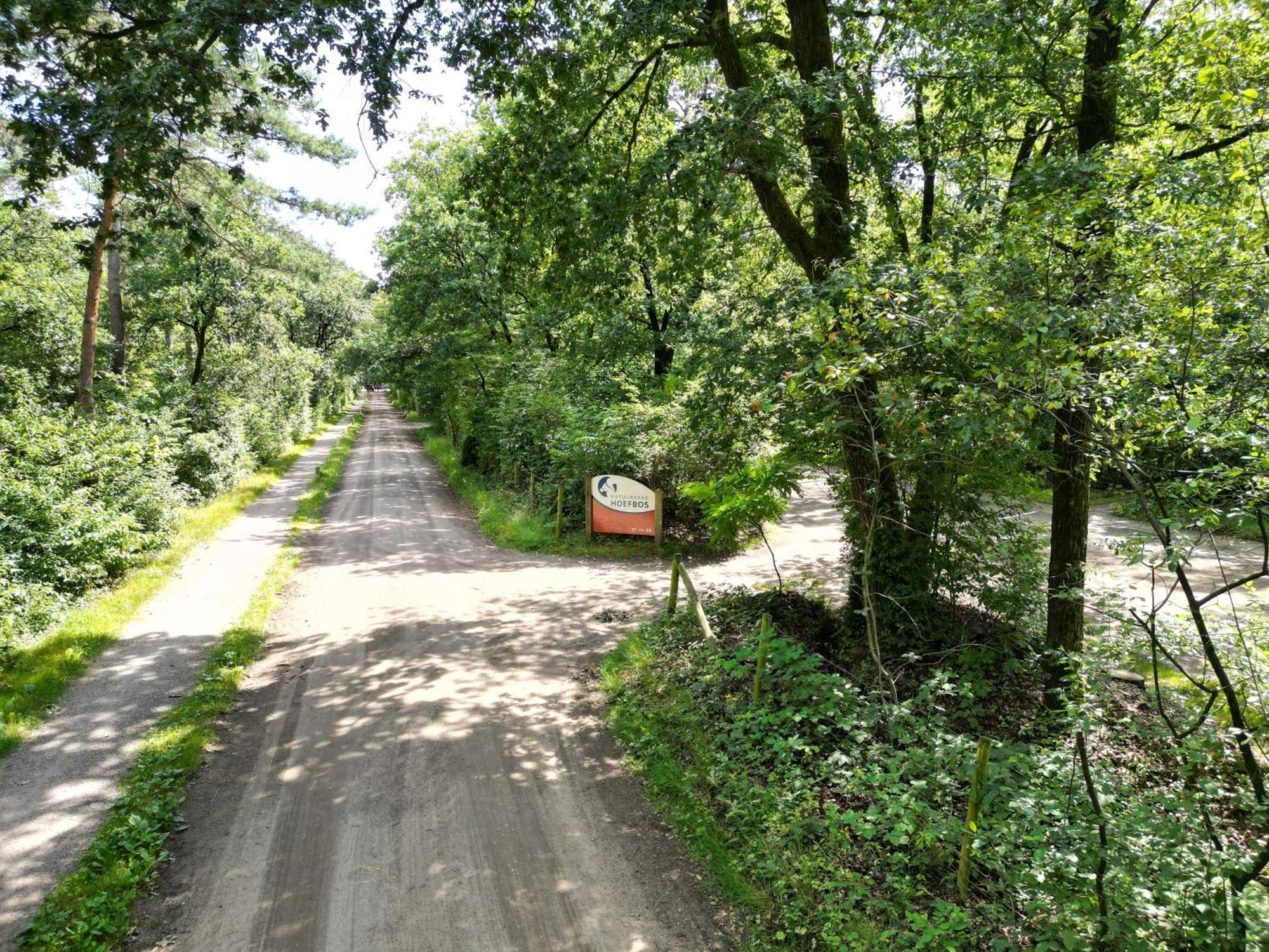 Modern Natuurhuisje Midden In Het Bos Op De Veluwe Otterlo Exterior photo